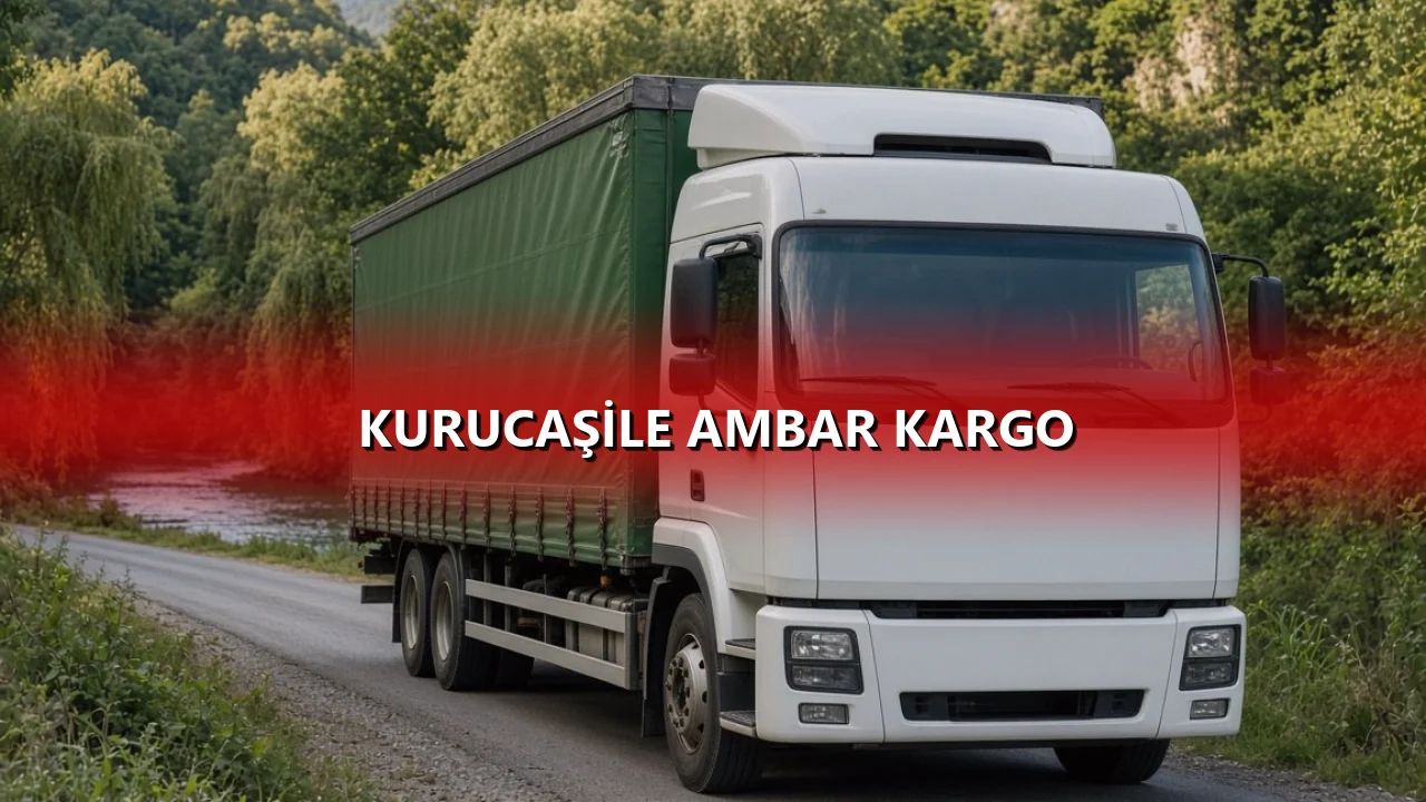 Kurucaşile Ambar Kargo